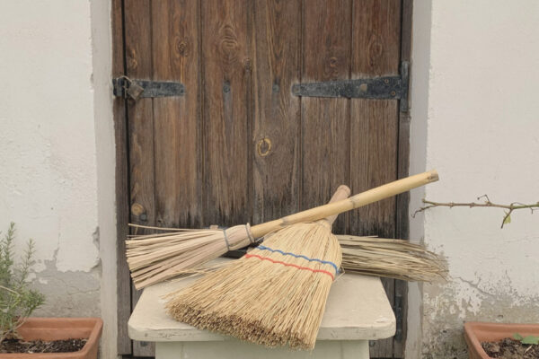 IMG_4365 edit IMG_4365 edit